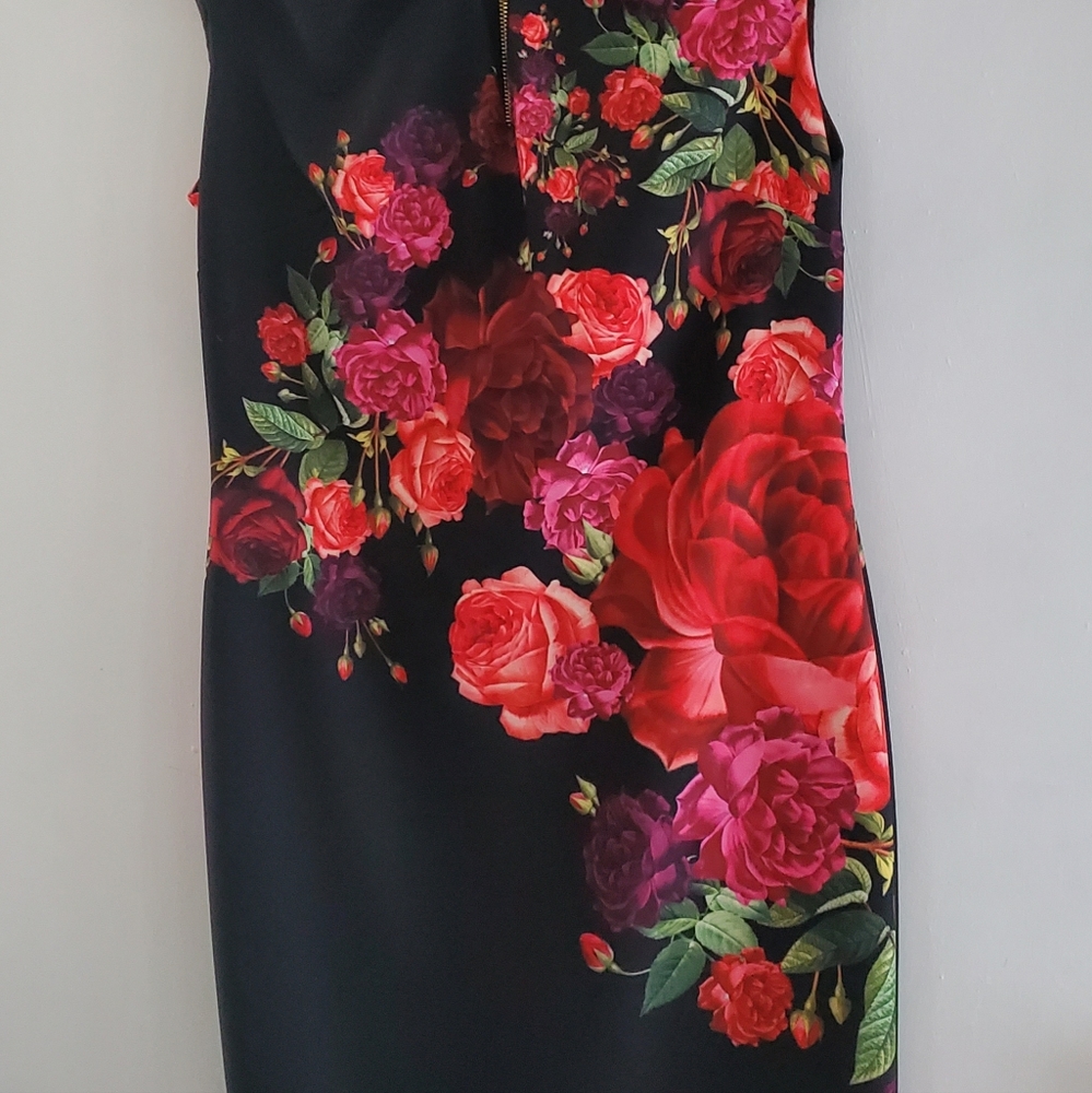 Ted Baker midi gorgeous dress